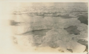 Image of Ice field